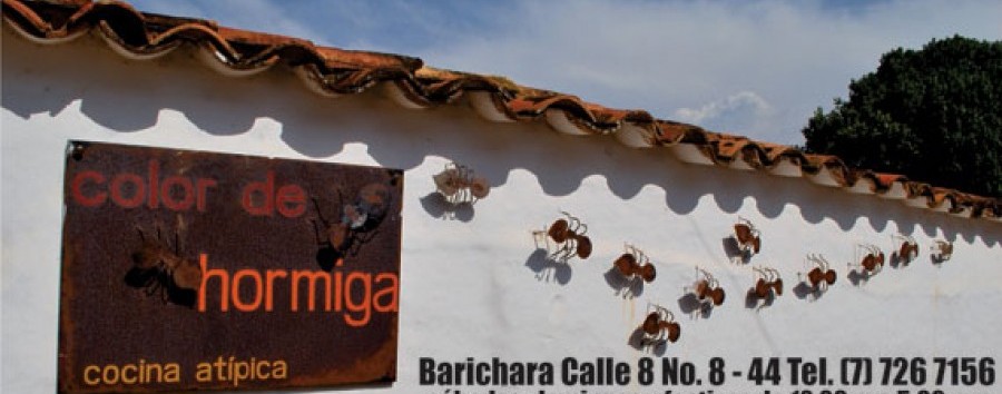 Barichara- Color de Hormiga1